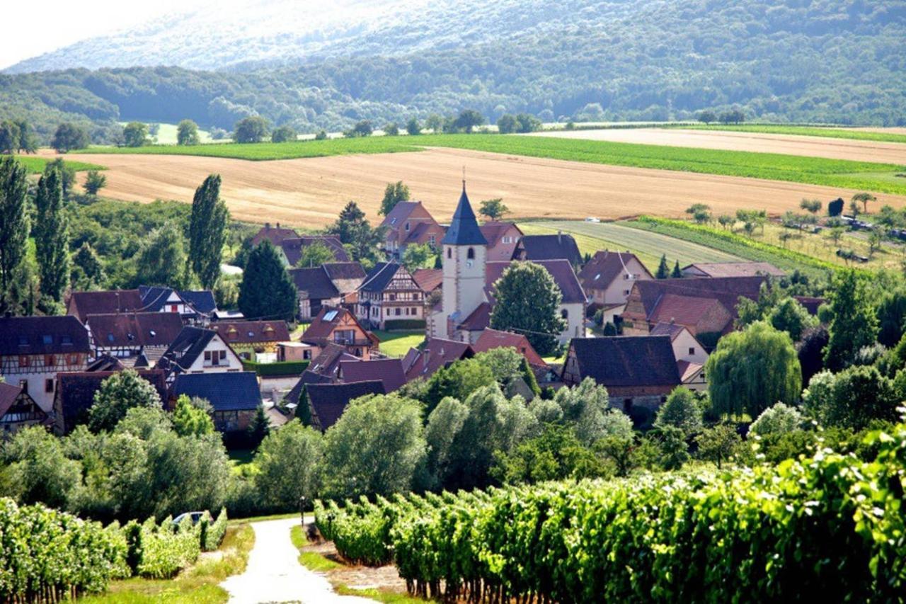 Elsasslogie Im Winzerdorf Apartment Cleebourg ภายนอก รูปภาพ